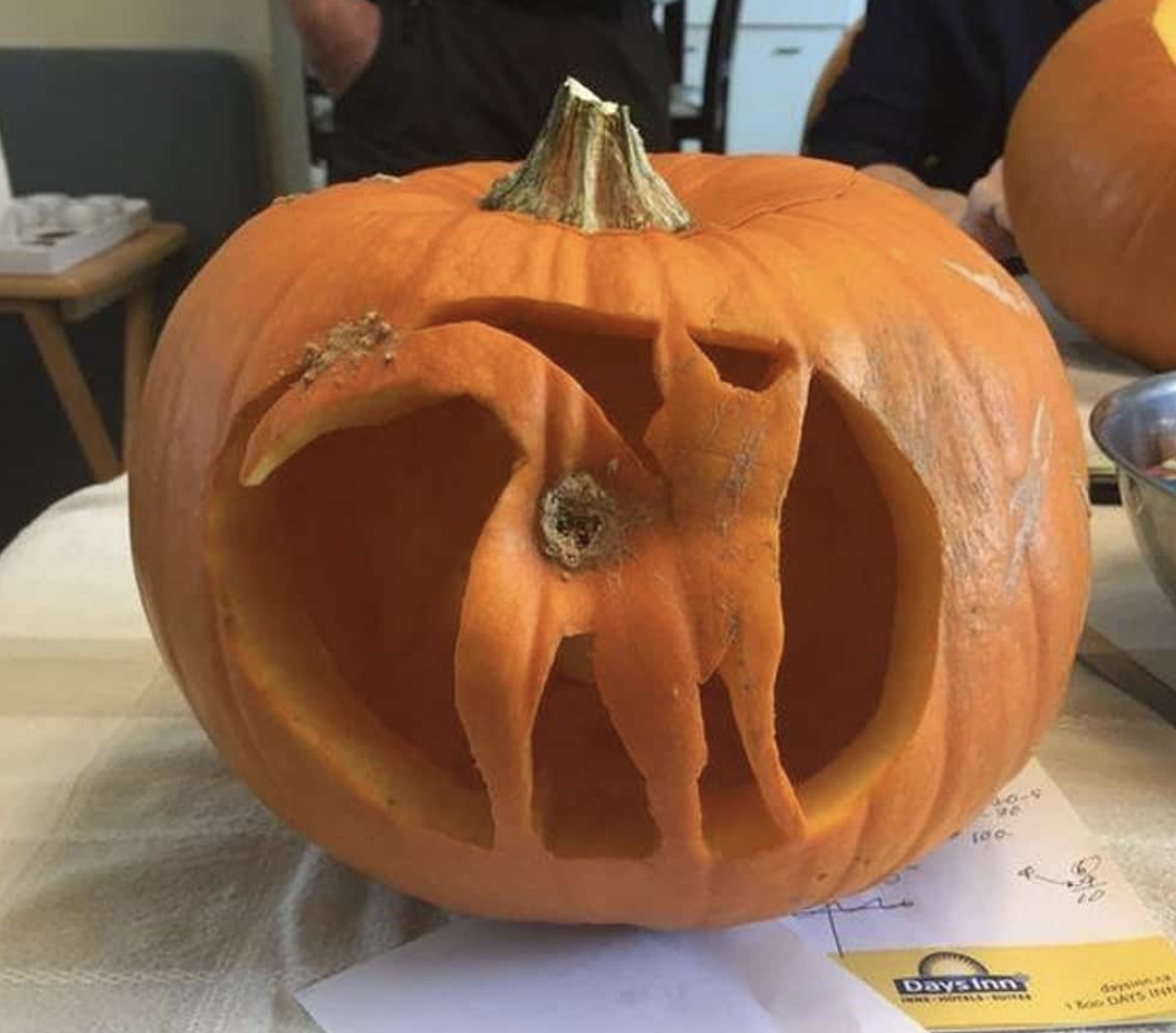 cat butthole pumpkin carving - Daysinn